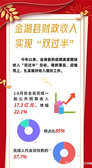 一图读懂 | 金湖县财政收入实现“双过半”