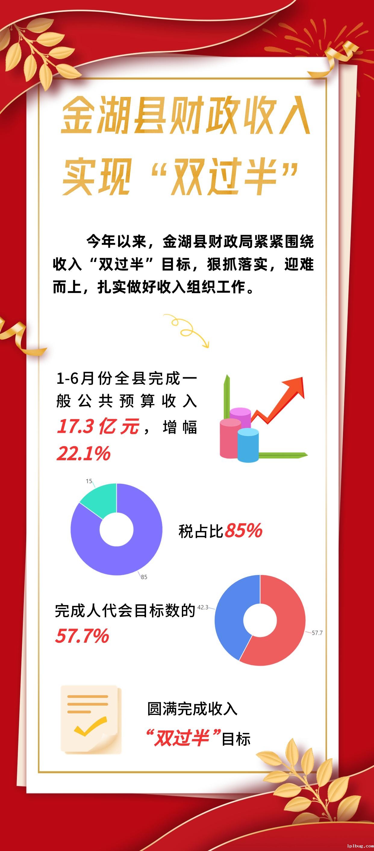 金湖县财政收入实现“双过半”.jpg