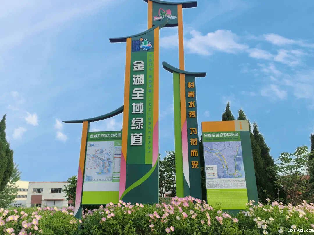 金湖全域绿道.png